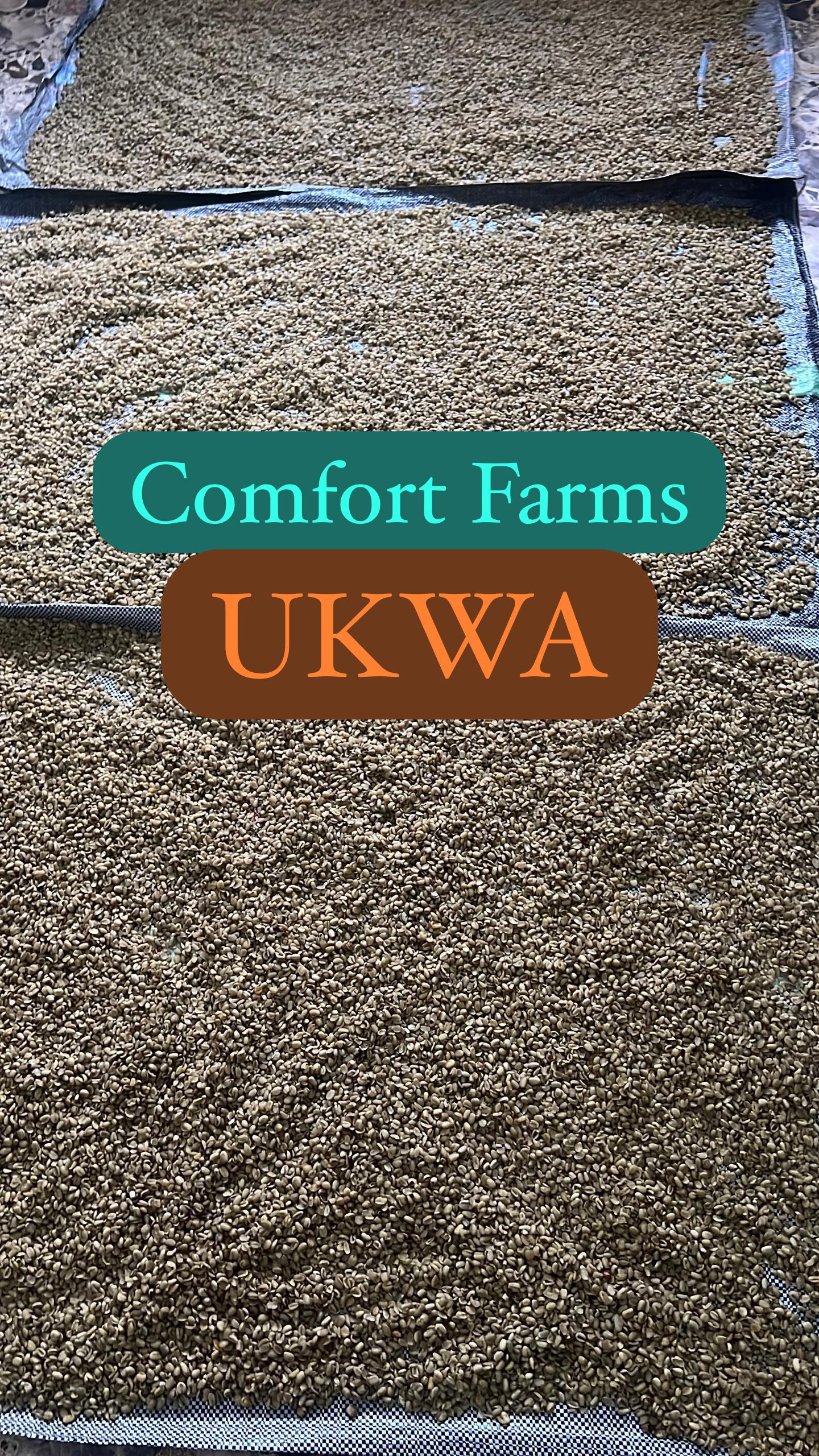 DRIED UKWA - Breadfruit