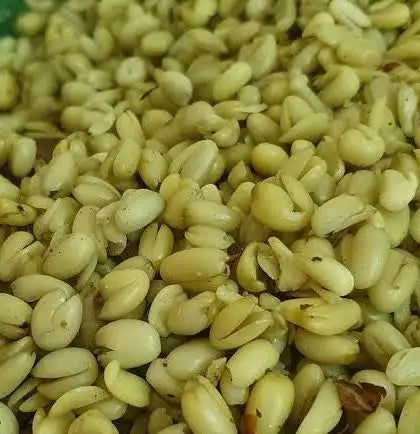 DRIED UKWA - Breadfruit