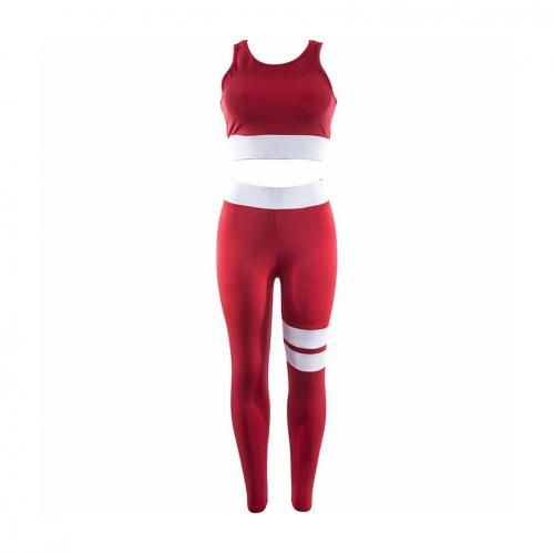 Sports Bra and Leggings Gymwear activewear Set