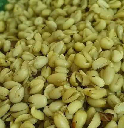 DRIED UKWA - Breadfruit